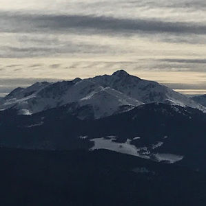 Meet your Posher, Thomas